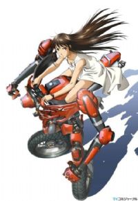 ������Ů