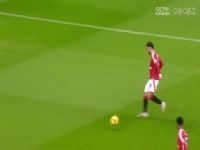 Ӣ ˹άVSظ 20241205