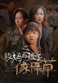 û��ĺ�����ò�