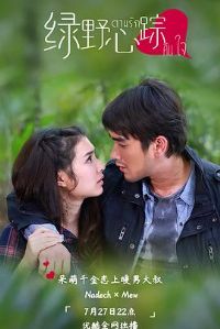 ��Ұ����TV��