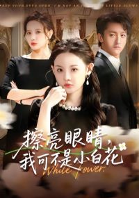 �����۾����ҿɲ���С�׻�