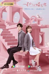 һ��С��������