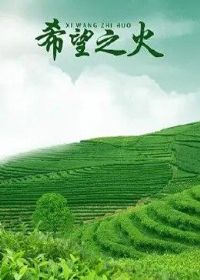 ���γ�����