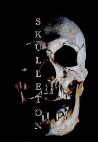 Ѫͳɱ��ħ��Ӱ�ӽ�˵��